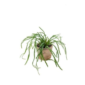 Rhipsalis artificiel HADRIAN, dans son pot en terre cuite, vert, 35cm