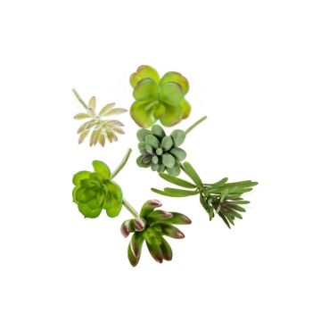 Fausses Plantes succulentes JADON, piquet, 6 pcs, multicolore, 13cm, Ø5cm