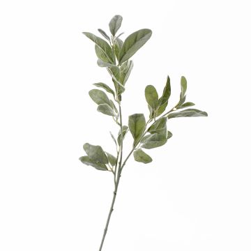 Branche d'épiaire de Byzance artificielle LEVIN, gris-vert, 70cm