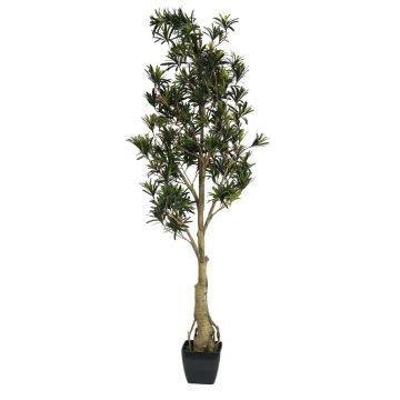 Faux podocarpus AMANDO, tronc artificiel, vert, 115cm
