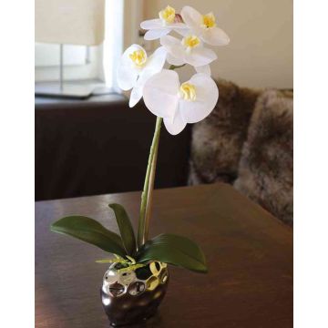 Orchidée Phalaenopsis artificielle EMILIA, pot en céramique, blanc, 45cm