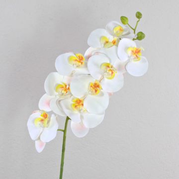 Tige d'orchidée en soie OPHELIA, blanc, 100cm, Ø12cm