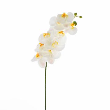 Tige d'orchidée en soie OPHELIA, blanc, 100cm, Ø12cm