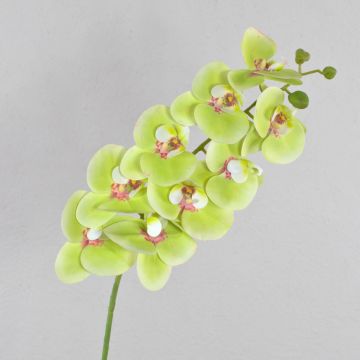 Tige d'orchidée en soie OPHELIA, vert, 100cm, Ø12cm