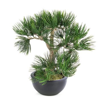 Bonsaï pin synthétique CATALINA, en coupe à plante, vert, 35cm