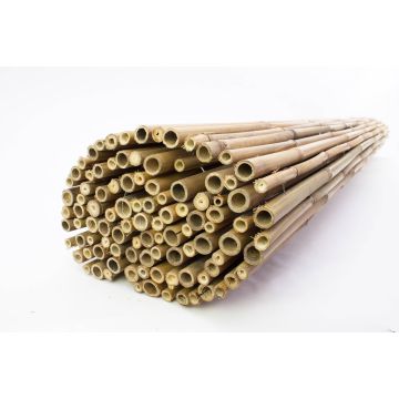 Brise-vue JONAH en cannes de bambou, couleur naturelle, 200cmx180cm