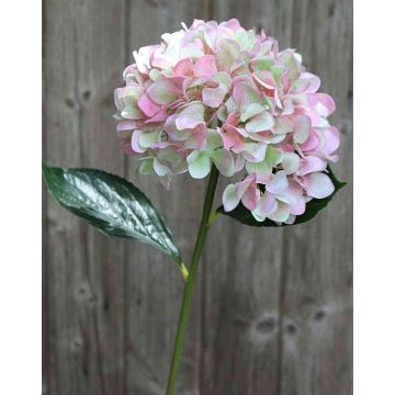 Hortensia en tissu TAJANA, rose-vert, 60cm