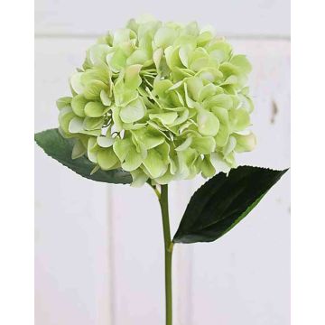Hortensia en tissu TAJANA, vert clair, 60cm