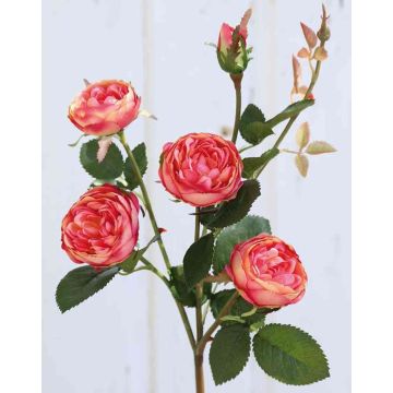 Fleur artificielle Rose-Chou SABSE, rose-abricot, 55cm, Ø4-5cm