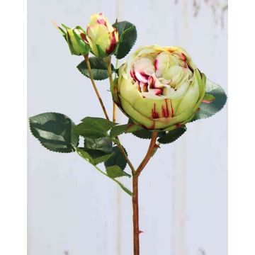 Rose-Chou artificielle MIRETTA, vert-bourgogne, 60cm, Ø3-9cm