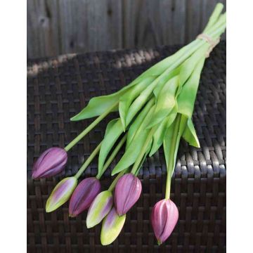 Bouquet de tulipes LONA, 7 fleurs, violet, 45cm, Ø20cm