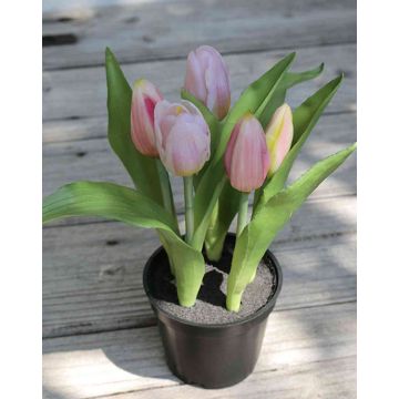 Fleur artificielle tulipe LEANA en pot décoratif, rose-vert, 20cm, Ø2-4cm