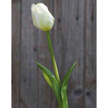 Tulipe artificielle LONA, blanc-vert, 45cm, Ø4cm