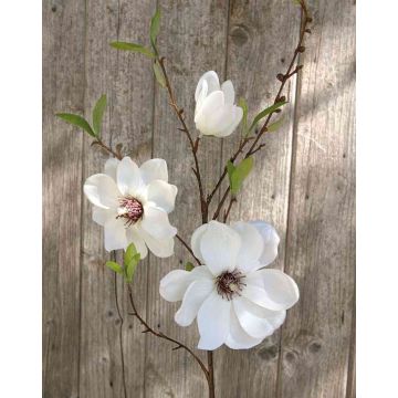Branche de magnolia artificielle FINAH, blanc, 90cm, Ø9-15cm