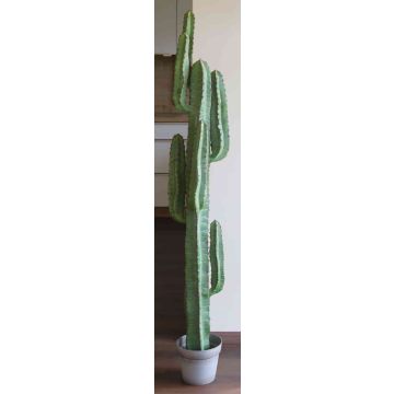 Cactus cierge du Pérou artificiel OLIVERO, pot décoratif, vert, 160cm