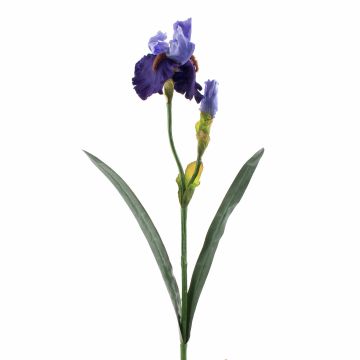 Iris artificiel ALYSSA, bleu, 70cm, Ø13cm