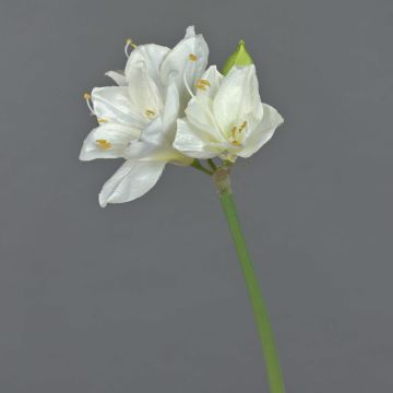 Amaryllis en tissu BENITA, blanc, 55cm, Ø10cm