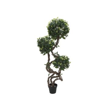 Ficus exotica artificiel MIYU, troncs naturels, vert, 160cm
