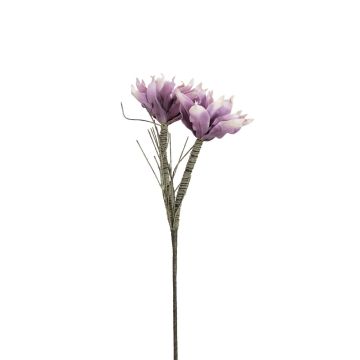 Magnolia en plastique NEYLA, outdoor, violet, 100cm, Ø12-14cm