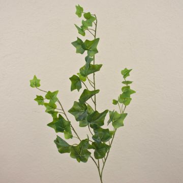 Branche de lierre artificielle DEXTER, vert, 65cm