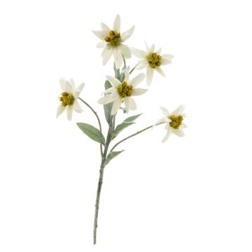 Edelweiss artificiel SOPHIA, blanc, 40cm, Ø5-6cm