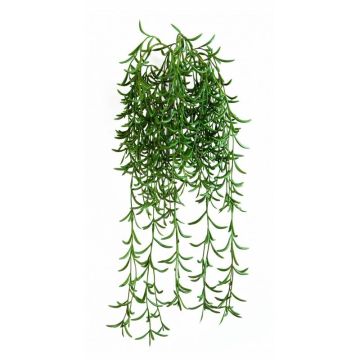 Rhipsalis artificiel en chute KLEMENIS, sur piquet, vert, 45cm