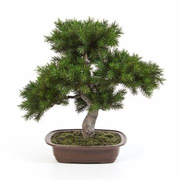 Bonsaï pin synthétique SELENA, en coupe à bonsai, vert, 50cm