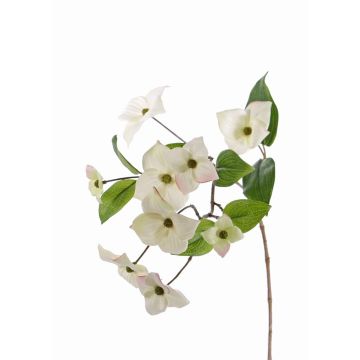 Branche de cornus artificiel KOHANA, fleurs crème, 70cm