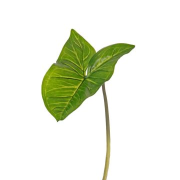 Fausse feuille de syngonium JORDAN, vert, 50cm