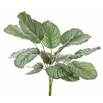 Calathea Orbifolia synthétique ZAIDA, sur piquet, vert, 75cm