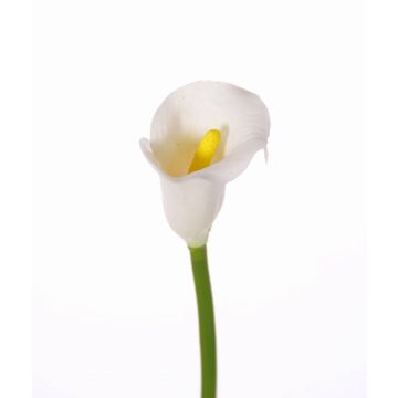 Faux Calla CHIDORA, blanc, 55cm, 5x6cm
