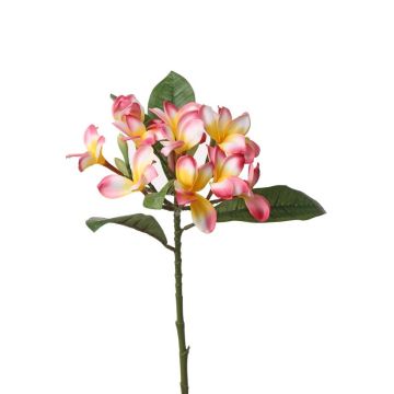 Plumeria artificiel ALDAH, rose-jaune, 70cm, Ø5cm