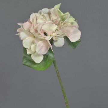 Hortensia synthétique CHIDORI, crème-rose, 30cm, Ø13cm