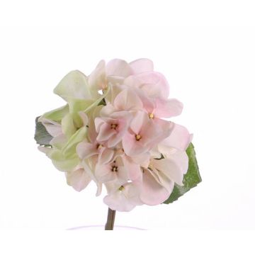 Hortensia synthétique CHIDORI, crème-rose, 30cm, Ø13cm