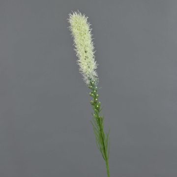 Plume du Kansas artificielle MITSA, crème, 80cm, Ø5cm