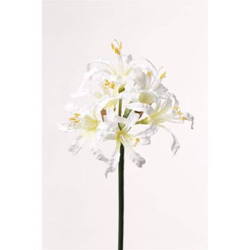 Fleur de nérine bowdenii artificielle MONJA, blanc, 70cm, Ø12cm