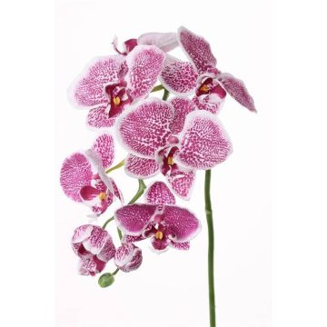 Tige d’orchidée Phalaenopsis en tissu CEDRA, violet-blanc, 75cm, Ø6-10cm