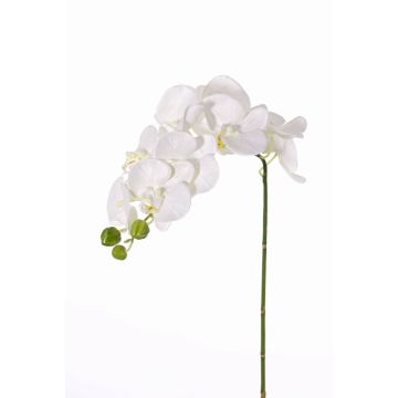 Tige d’orchidée artificielle GALINA, crème, 45cm, Ø7-8cm
