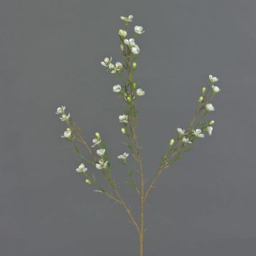 Hoya artificiel NIANG, crème, 80cm, Ø2-3cm