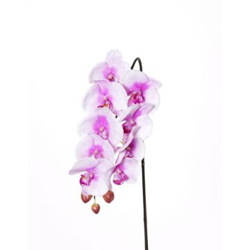 Tige d’orchidée Phalaenopsis artificielle ENISA, rose-blanc, 45cm, Ø7cm