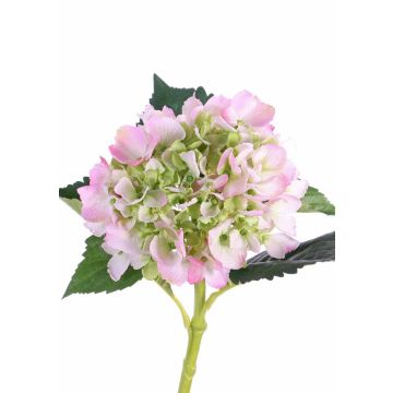 Hortensia en soie NICKY, rose-vert, 50cm, Ø15cm