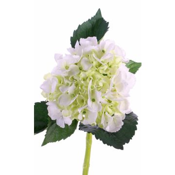 Hortensia en soie NICKY, crème-blanc, 50cm, Ø15cm