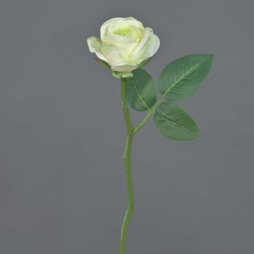 Rose artificielle GABI, crème-vert, 25cm, Ø5cm
