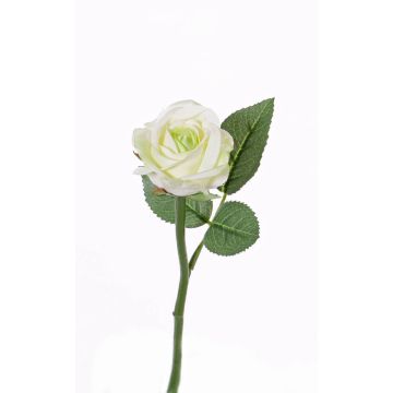 Rose artificielle GABI, crème-vert, 25cm, Ø5cm