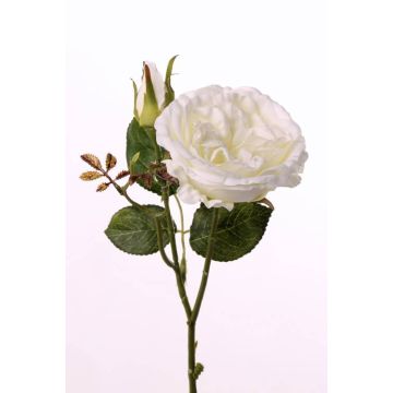 Rose en soie JUDY, crème, 35cm, Ø8cm
