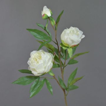 Tige de pivoine en soie MANJA, blanc, 70cm, Ø8-10cm Tige de pivoine en soie MANJA, blanc, 70cm, Ø8-10cm