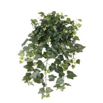 Buisson de faux lierre en chute TILL, piquet, traité anti UV, vert, 65cm