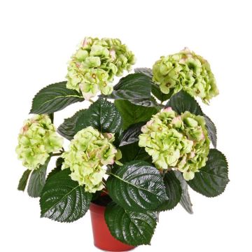 Faux Hortensia TEMARI, vert, 40cm, Ø30cm, Ø10-12cm