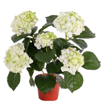Faux Hortensia TEMARI, crème-vert, 40cm, Ø30cm, Ø10-12cm