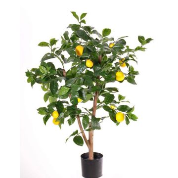 Faux citronnier ZYPRIAN, vrai tronc, fruits, vert, 85cm